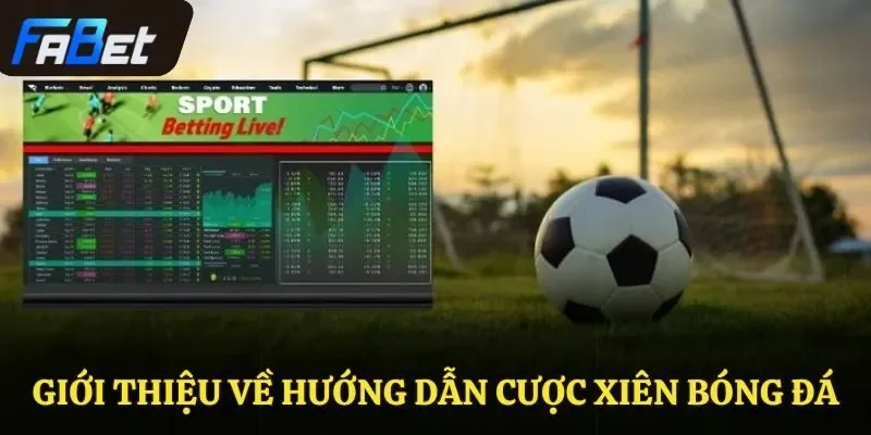 Giới thiệu về hướng dẫn cược xiên bóng đá 